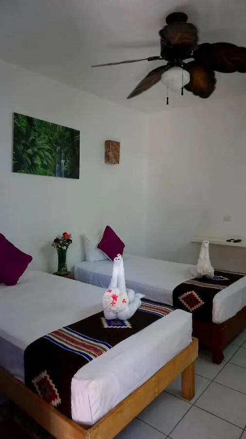 Aparthotel Selva Y Mar Apart Hotel Playa del Carmen
